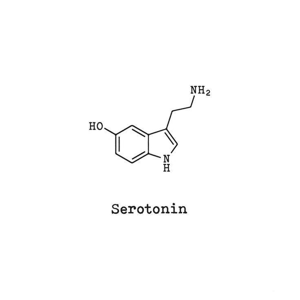Serotonin ve Ruh Hali: Erkek İçin Kapsamlı Rehber - Erkek Benliği